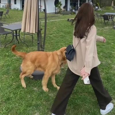 审判日